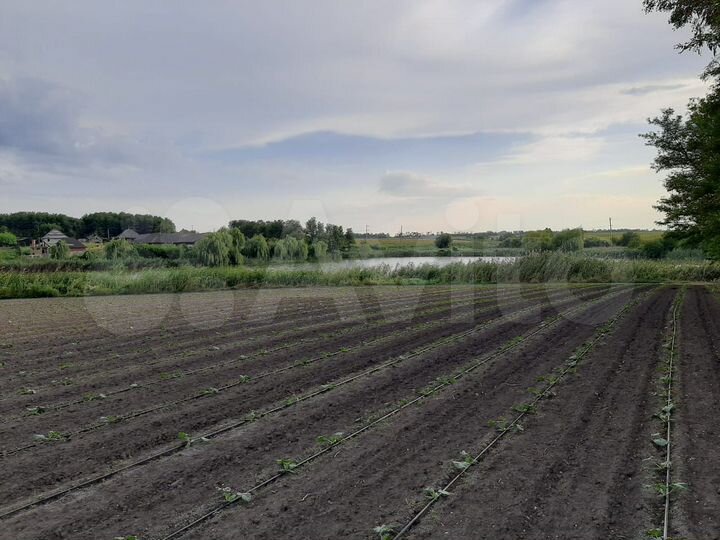 Участок 70 сот. (ИЖС)