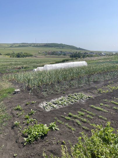 Дом 80 м² на участке 35 сот.