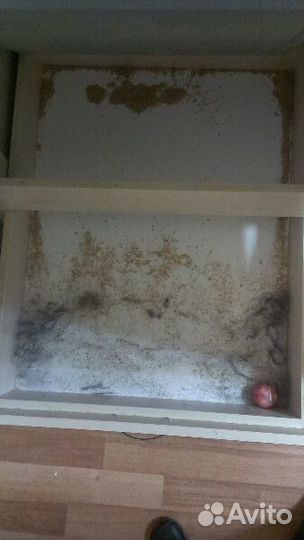 Чистка шуб в откатном барабане с опилками