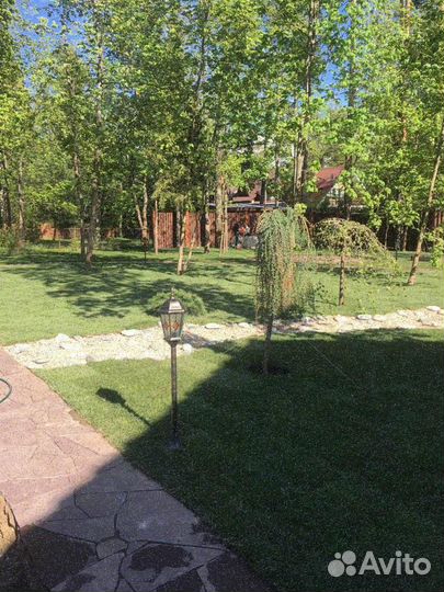 Рулонный газон от производителя элитный