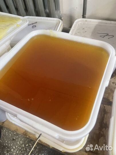 Свежий цветочный мёд оптом