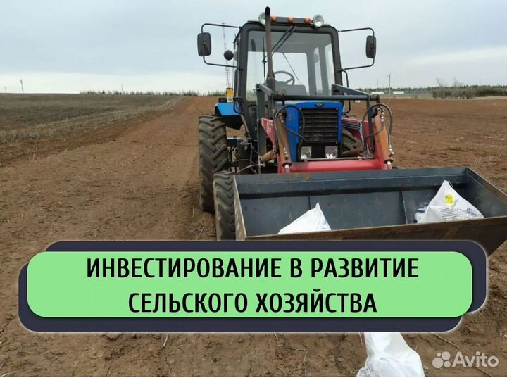 Привлекаем инвестиции