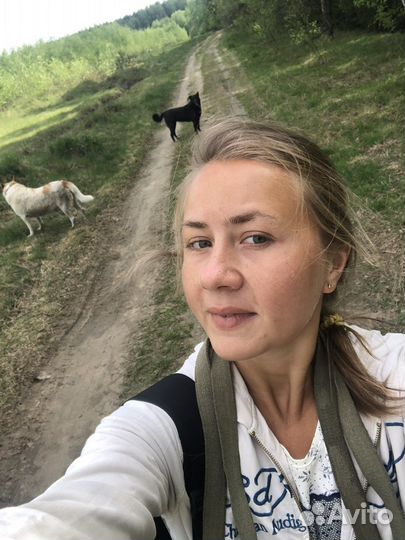 Выгул собак/догситер