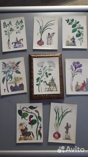 Набор открыток СССР, винтаж тема специи, пряности