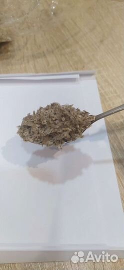 Павлония войлочная семена