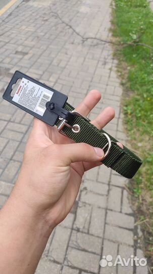 Ошейник для животных