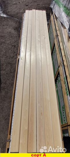 Фальшбрус сосна