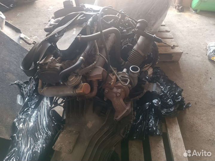 Двигатель Iveco daily 4