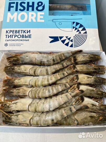 Креветка 8/12