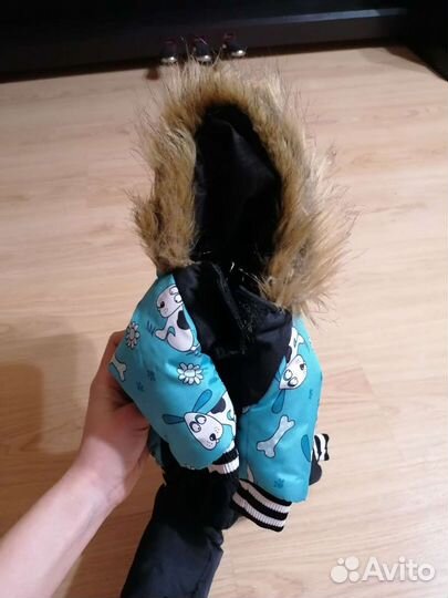 Комбинезон костюм для собаки