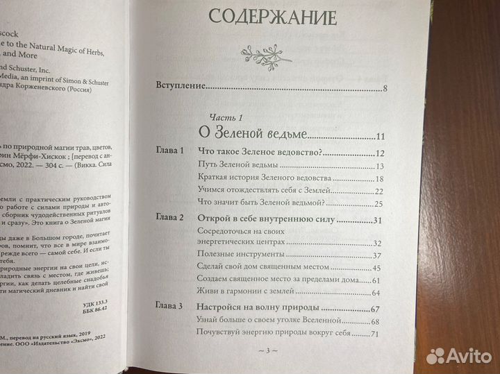 Викка - книга Эрин Мерфи-Хискок