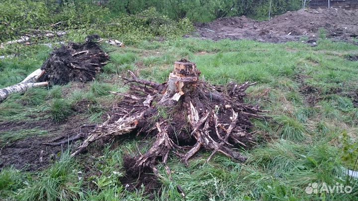 Услуги мини экскаватора