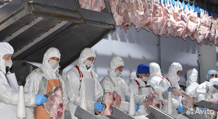 Работа вахтой с проживанием и питанием