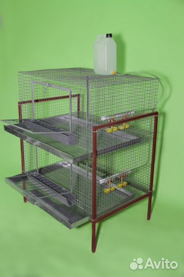 Клетка для бройлеров на 20 голов