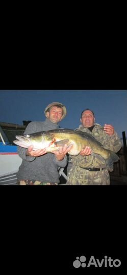 Рыбалка в Карелии Койонсаари