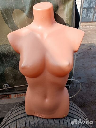 Торговое оборудование для магазина