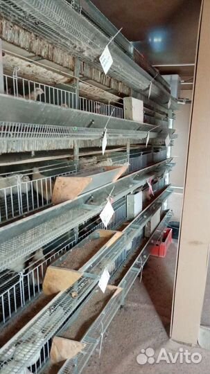 Клетка для птиц