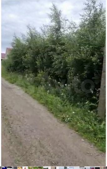 Участок 8 сот. (СНТ, ДНП)