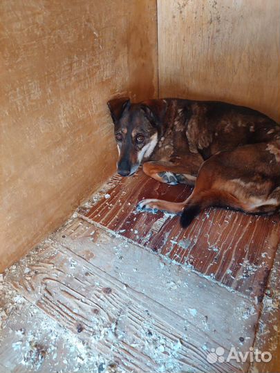 Магде нужна забота