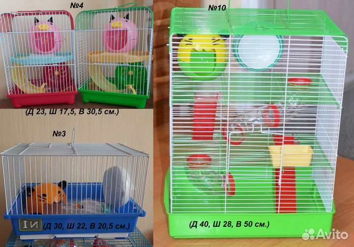 Новые клетки для грызунов, хомяк в подарок