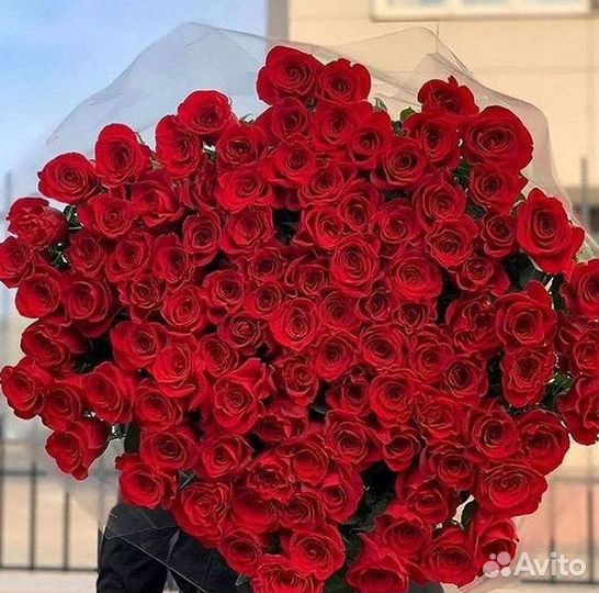 Высокие розы Гигантские розы с доставкой