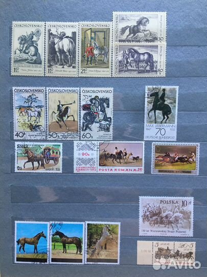 Лошади, охота, скачки