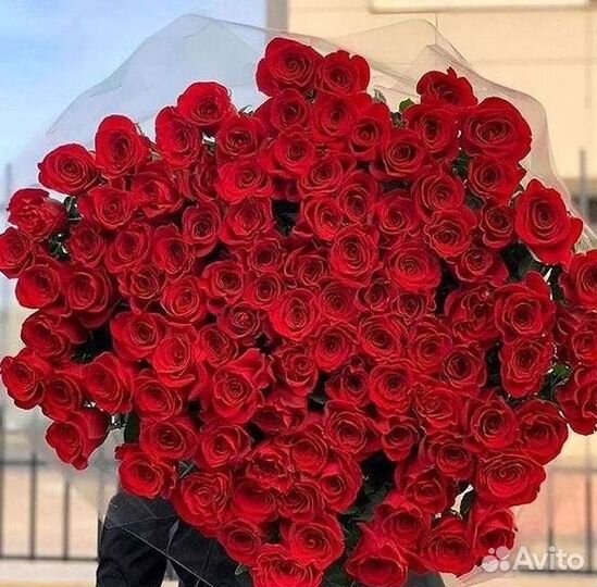 101 роза цветы букеты доставка 25 51 101 роза