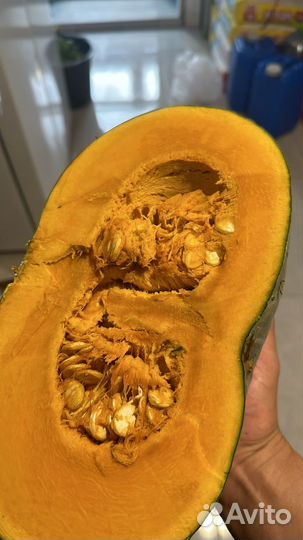 Семяна тыквы