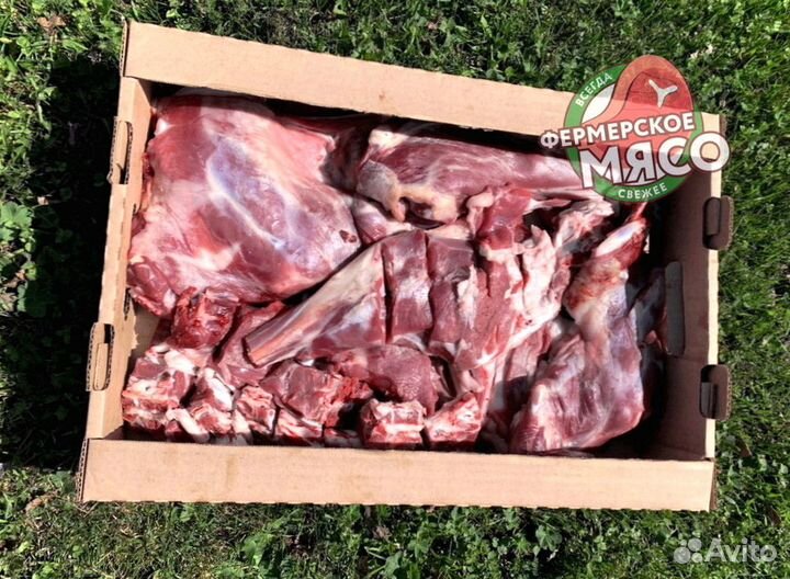 Мясо баранина