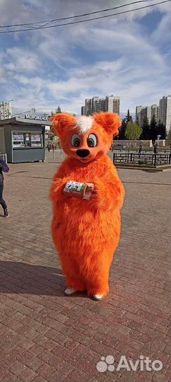 Раздача листовок