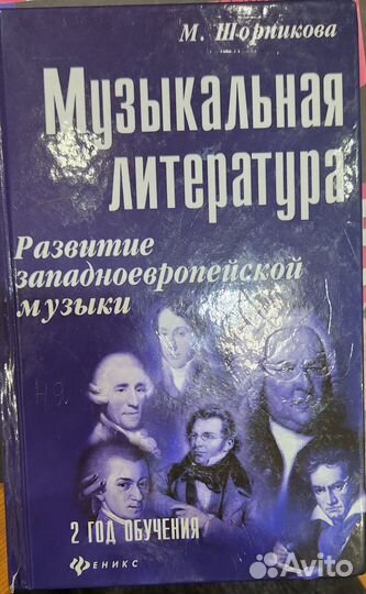 Музыкальная литература шорникова 2 год обучения