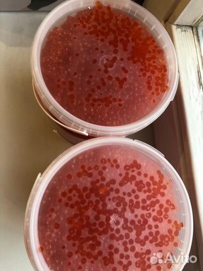 Икра форели Рыба форель