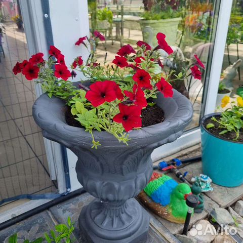 Вазоны для цветов