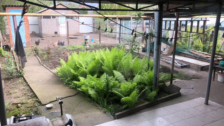 Дом 118 м² на участке 4,8 сот.