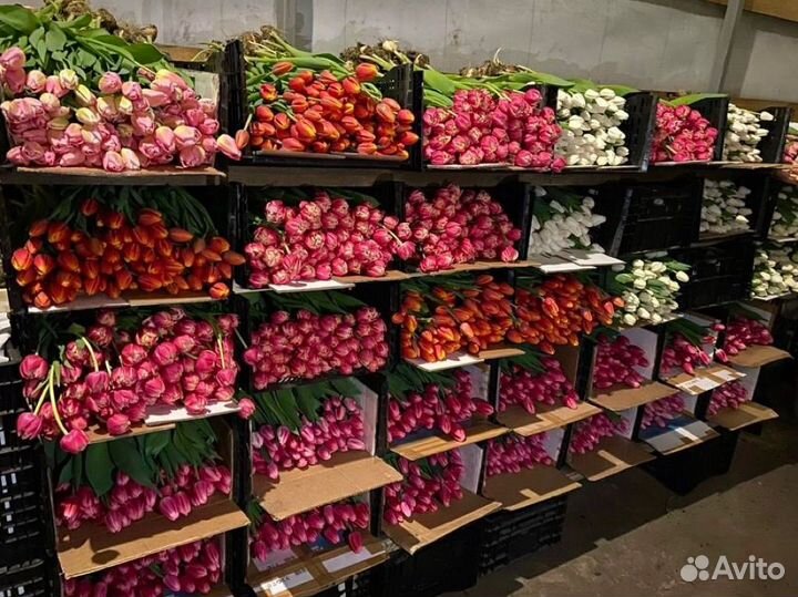 Букет тюльпанов с доставкой на 8 марта