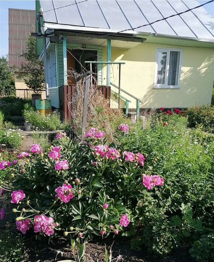 Дом 30 м² на участке 11 сот.