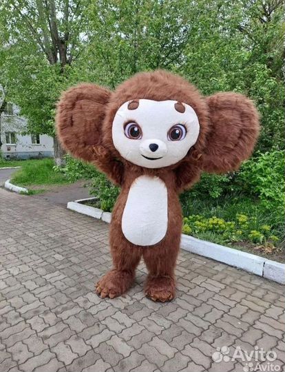 Чебурашка поздравление. Чебурашка ростовая кукла