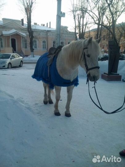 Навоз в мешках