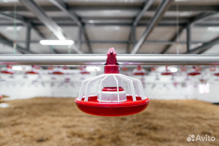 Для птицефабрик, курятников и птицеферм