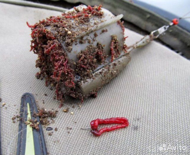 Мотыль, мормыш, опарыш, черви