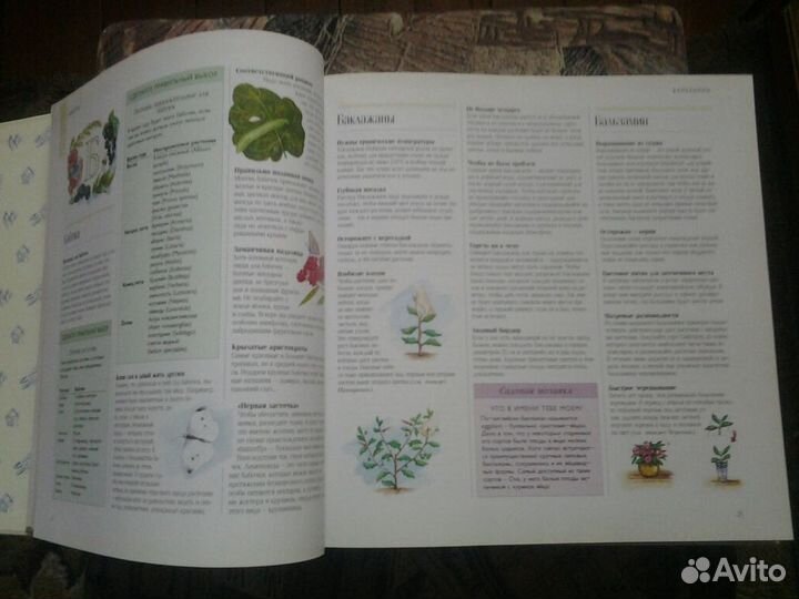 Книга 1000 идей для вашего сада