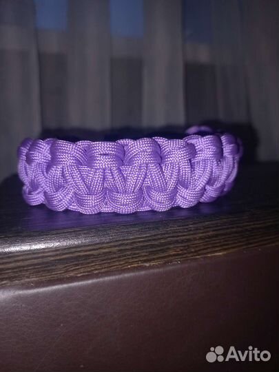 Адресник и ошейник для собак