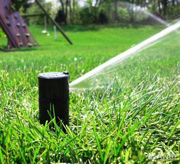 Рулонный Газон. Посевной газон