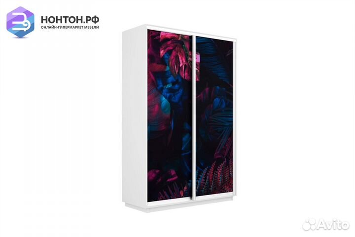 Шкаф-купе 2-х дверный Нонтон Фото №1004 / белый сн