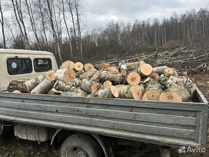 Дрова березовые колотые