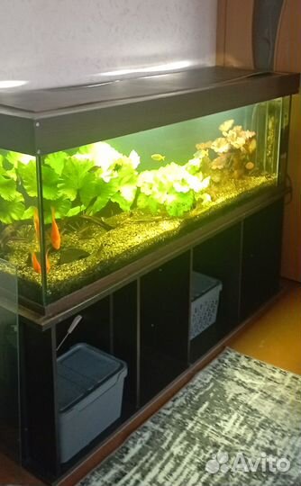 Аквариум с тумбой 450 литров