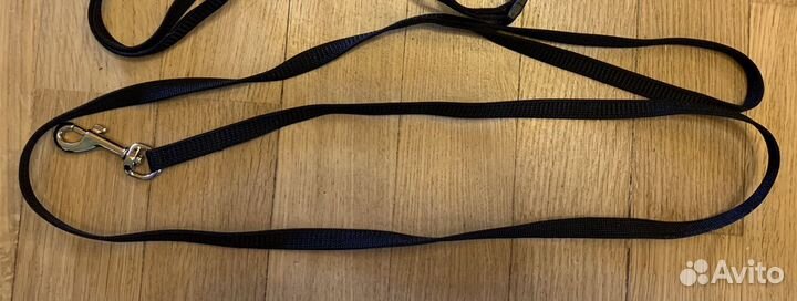 Ошейник и поводок