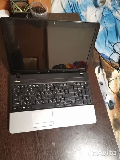 Packard Bell ente11HC на запчасти