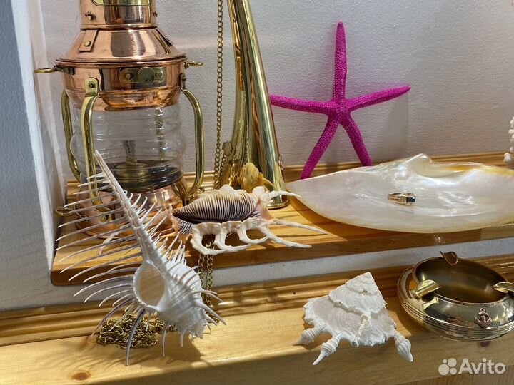 Кораллы опт Наутилусы Рынды Штурвалы и др