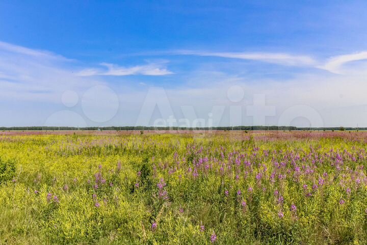 Участок 15 сот. (ИЖС)